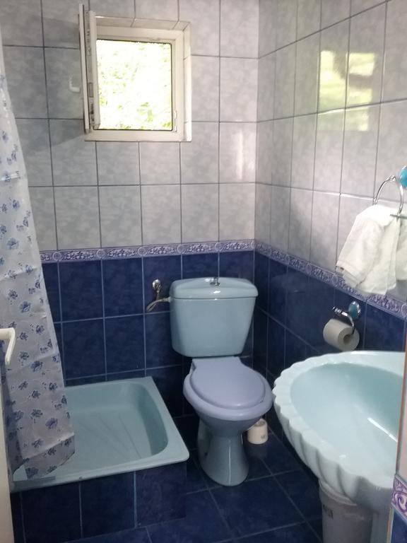 Pensiune Restaurant Sfinx Buşteni Exterior foto